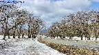 takano1-20250409102017.jpg