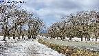 takano1-20250409103018.jpg