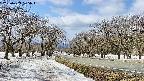 takano1-20250409105017.jpg