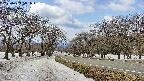takano1-20250409111017.jpg