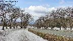 takano1-20250409112017.jpg