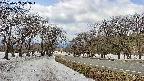 takano1-20250409113017.jpg