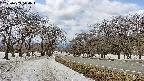 takano1-20250409114016.jpg