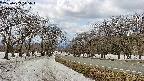 takano1-20250409115018.jpg