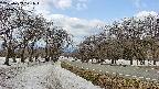 takano1-20250409121017.jpg