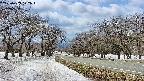 takano1-20250409122018.jpg