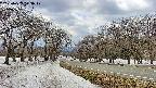 takano1-20250409123018.jpg