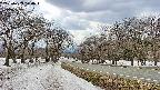 takano1-20250409124017.jpg