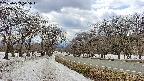 takano1-20250409125018.jpg