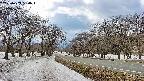 takano1-20250409130018.jpg