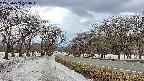 takano1-20250409134017.jpg