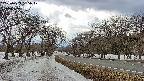 takano1-20250409135018.jpg