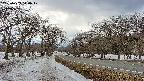 takano1-20250409140018.jpg