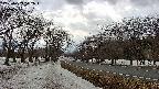 takano1-20250409142017.jpg