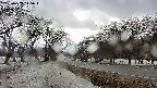 takano1-20250409145017.jpg