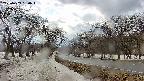 takano1-20250409150017.jpg