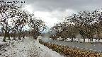 takano1-20250409151016.jpg