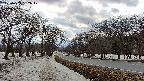 takano1-20250409152018.jpg