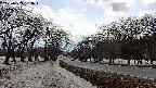 takano1-20250409153016.jpg