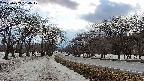 takano1-20250409154018.jpg