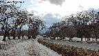 takano1-20250409155017.jpg