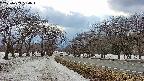 takano1-20250409160016.jpg