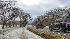 takano1-20250409161017.jpg