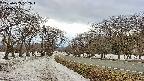 takano1-20250409162018.jpg