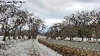 takano1-20250409163018.jpg