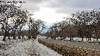 takano1-20250409164018.jpg