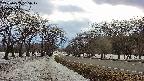 takano1-20250409165018.jpg