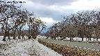 takano1-20250409170018.jpg