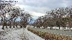 takano1-20250409171017.jpg