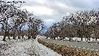 takano1-20250409172019.jpg