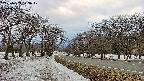 takano1-20250409173018.jpg