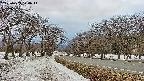 takano1-20250409174016.jpg