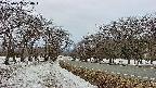 takano1-20250409180017.jpg