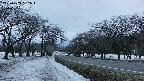 takano1-20250409182017.jpg