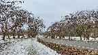 takano1-20250410052017.jpg