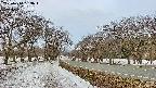 takano1-20250410053016.jpg