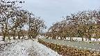 takano1-20250410054016.jpg