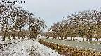 takano1-20250410061017.jpg