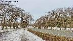 takano1-20250410062017.jpg