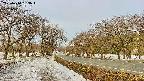 takano1-20250410063017.jpg