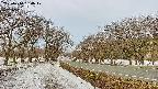 takano1-20250410064018.jpg