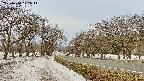 takano1-20250410072016.jpg