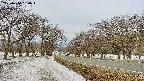 takano1-20250410080016.jpg