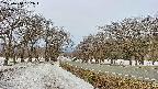 takano1-20250410082018.jpg
