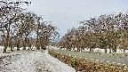 takano1-20250410083017.jpg