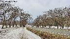 takano1-20250410093018.jpg